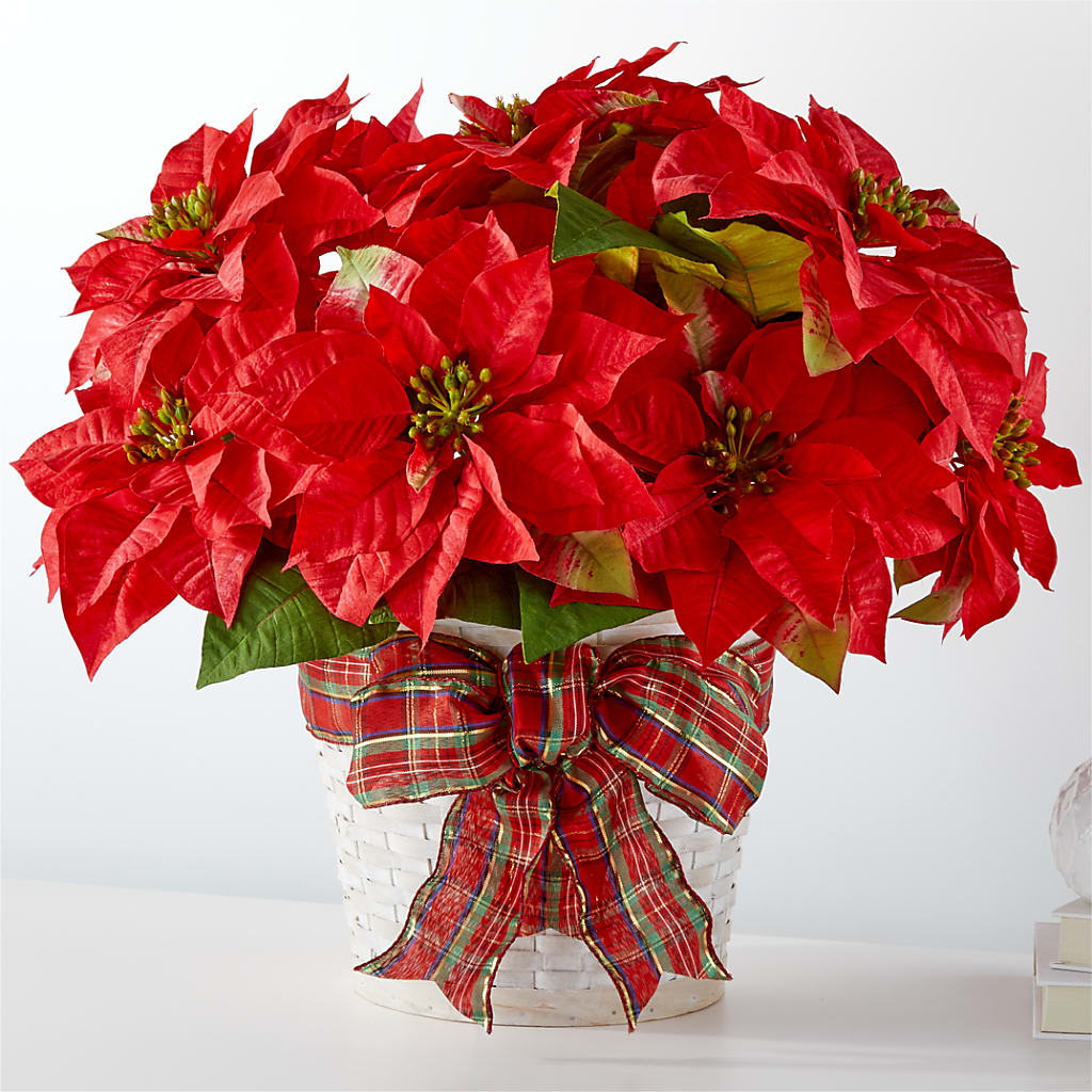 Happiest Holidays Poinsettia – Fleuriste Boucherville, Boucherville PQ