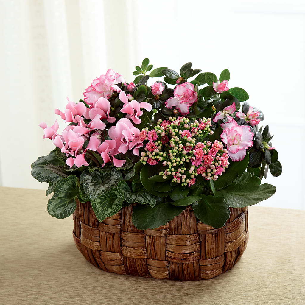 Pink Assortment – Fleuriste Boucherville, Boucherville PQ