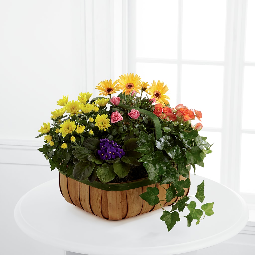 Gentle Blossoms Basket – Fleuriste Boucherville, Boucherville PQ