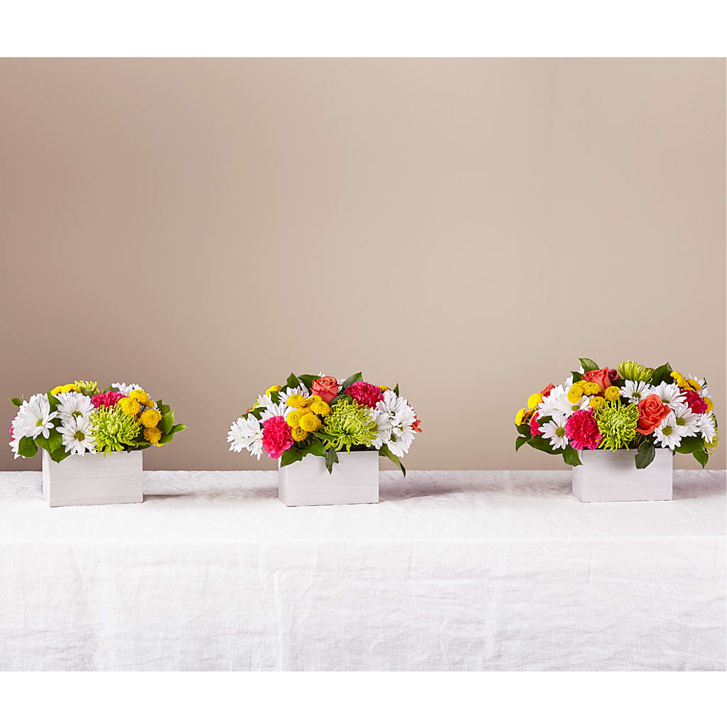Sorbet Bouquet – Fleuriste Boucherville, Boucherville PQ