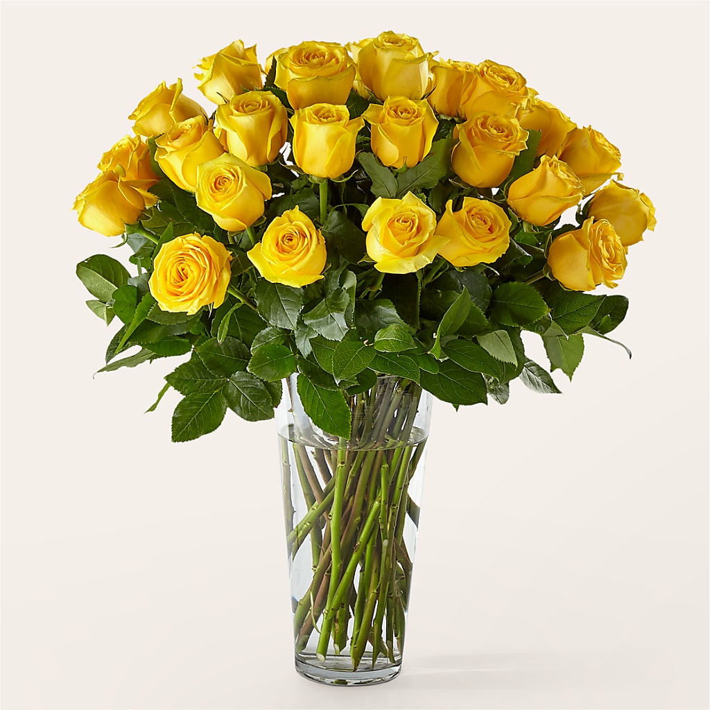 Long Stem Yellow Rose Bouquet – Fleuriste Boucherville, Boucherville PQ