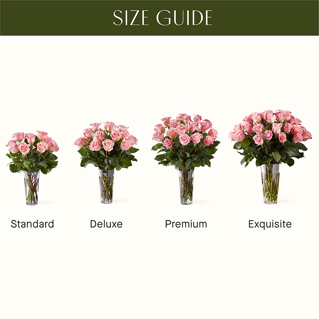 Long Stem Pink Rose Bouquet – Fleuriste Boucherville, Boucherville PQ