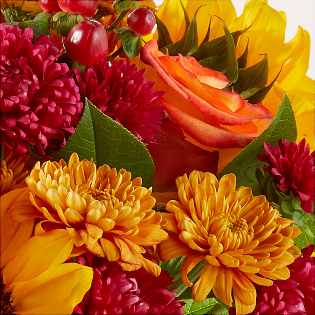 Sweater Season - A Florist Original – Fleuriste Boucherville, Boucherville PQ