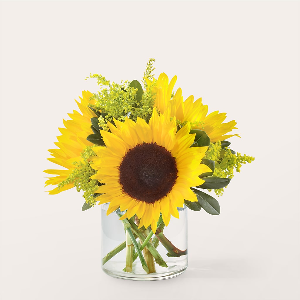 Beaming Sunflower Bouquet – Fleuriste Boucherville, Boucherville PQ