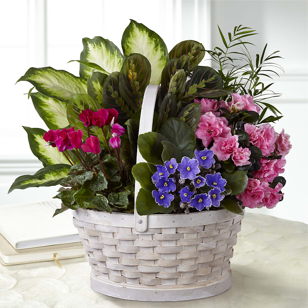Peaceful Garden Planter – Fleuriste Boucherville, Boucherville PQ