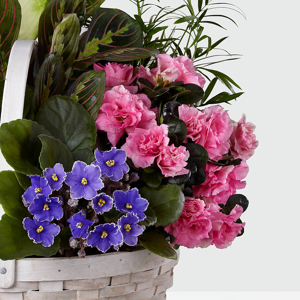 Peaceful Garden Planter – Fleuriste Boucherville, Boucherville PQ