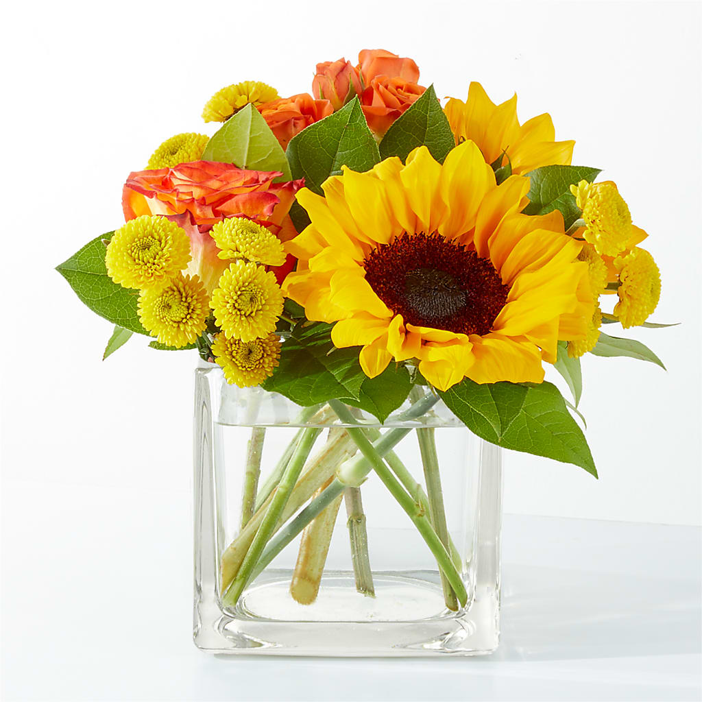 Picnic in the Park Bouquet – Fleuriste Boucherville, Boucherville PQ