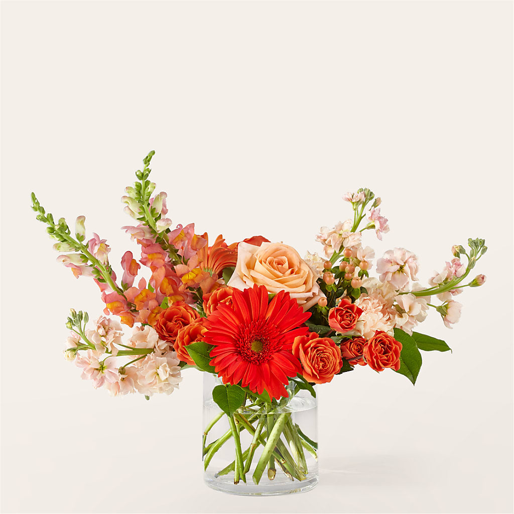 Paloma Please Bouquet – Fleuriste Boucherville, Boucherville PQ