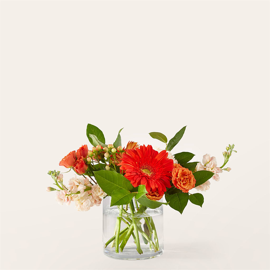 Paloma Please Bouquet – Fleuriste Boucherville, Boucherville PQ