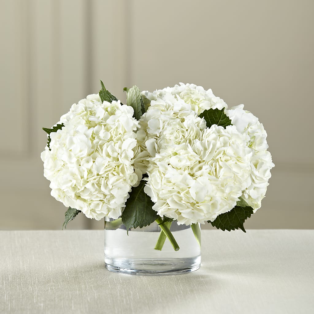 White Hydrangea Bouquet – Fleuriste Boucherville, Boucherville PQ