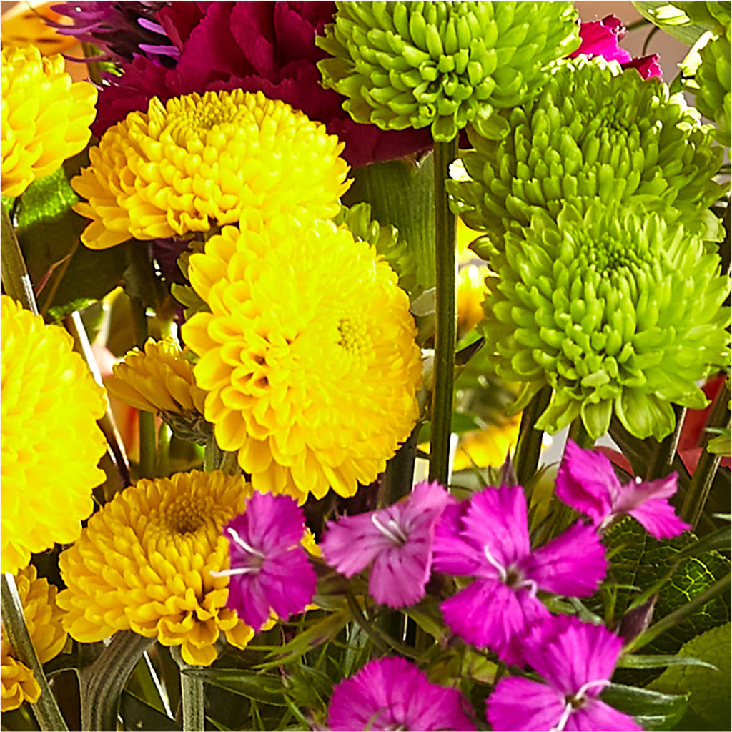 Bold & Bright – A Florist Original –  Fleuriste Boucherville, Boucherville PQ