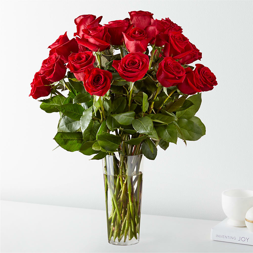 Un Million De Roses Rouges Besoin de fleurs aujourd'hui à Fleuriste à Montréal | Livraison de ...