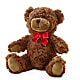 Adorable Plush Bear –  Fleuriste Boucherville, Boucherville PQ