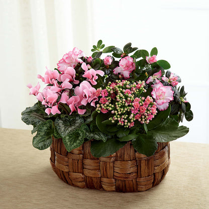 Pink Assortment –  Fleuriste Boucherville, Boucherville PQ
