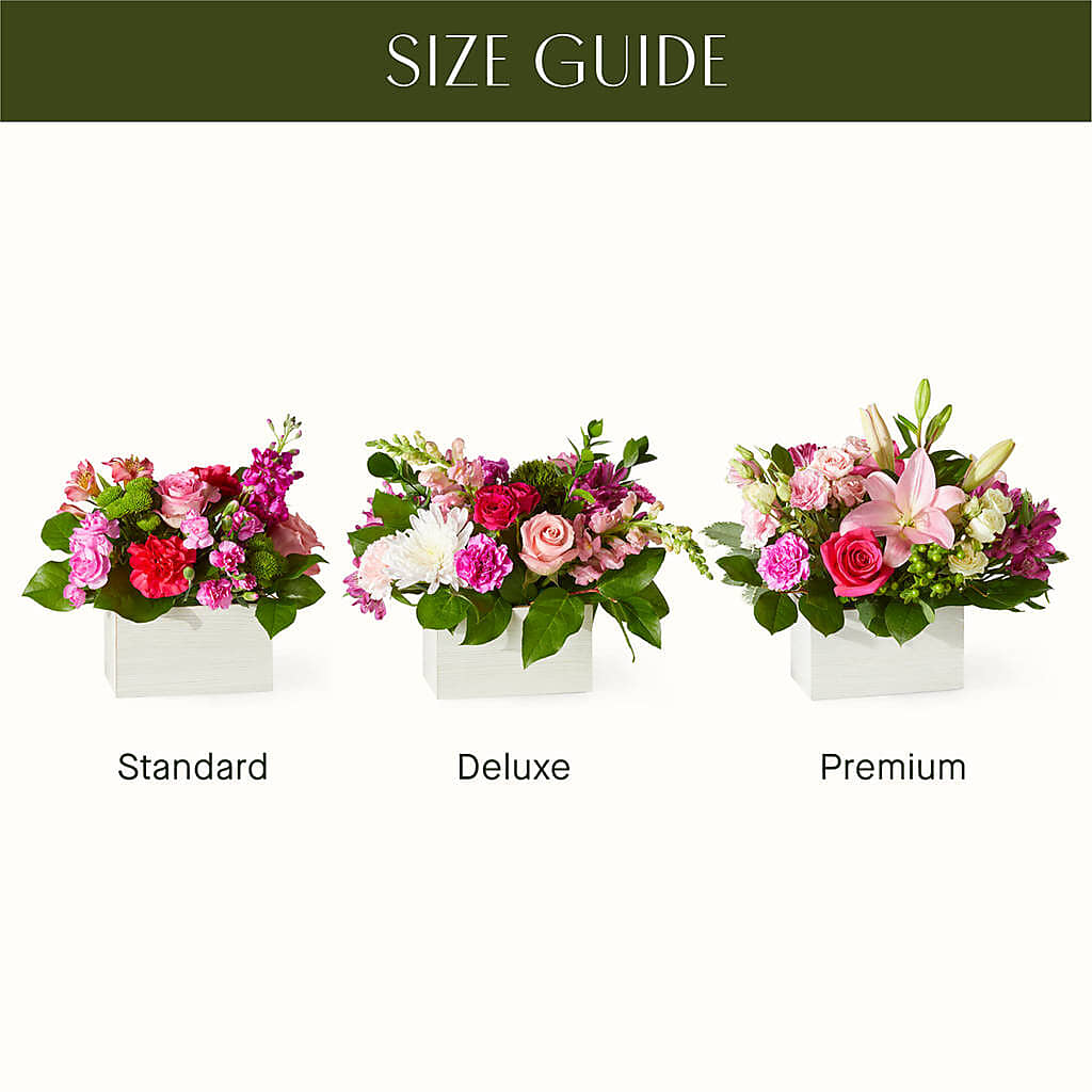 Sweetberry Box – A Florist Original –  Fleuriste Boucherville, Boucherville PQ