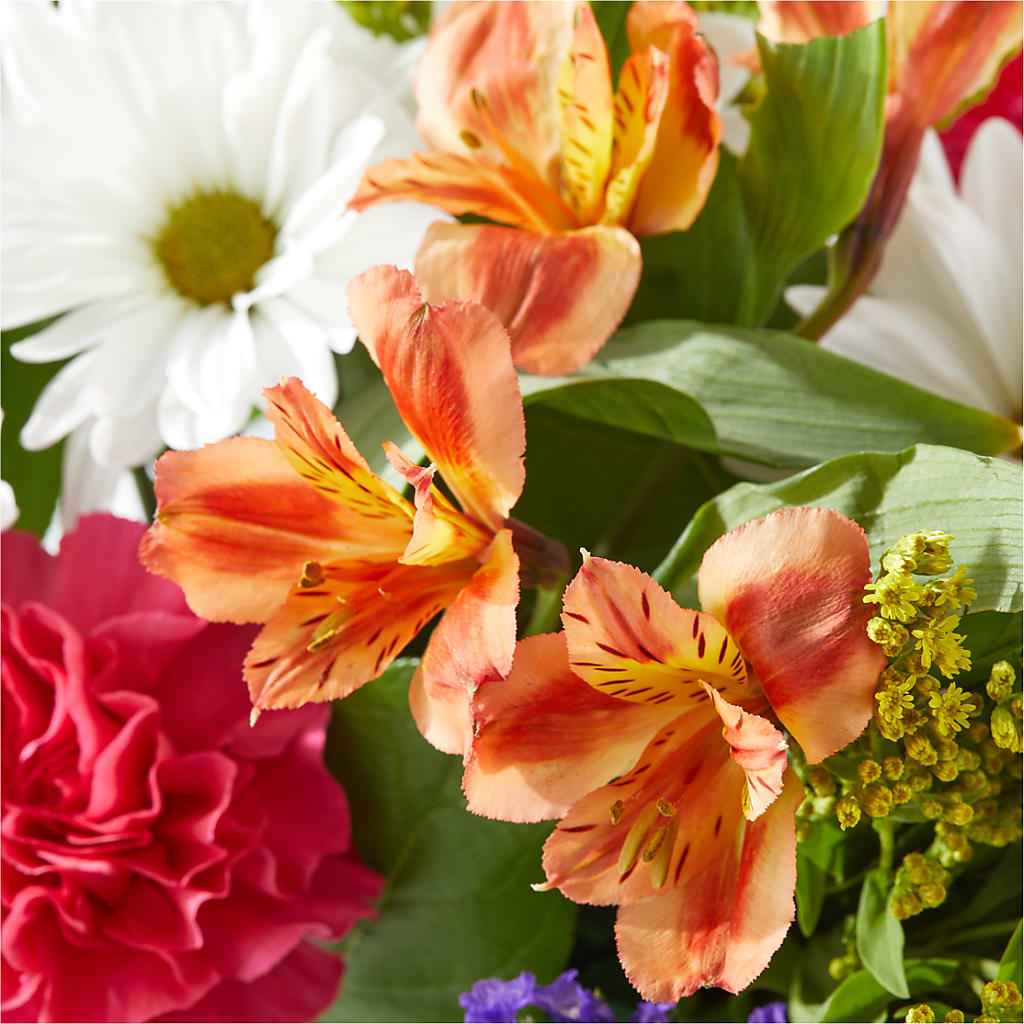 Oopsie Daisy Box Bouquet –  Fleuriste Boucherville, Boucherville PQ