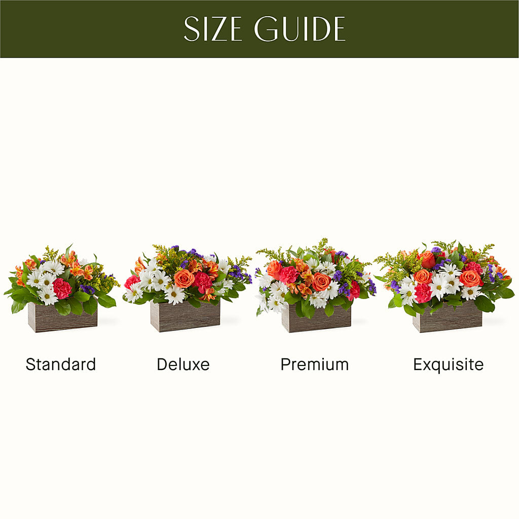 Oopsie Daisy Box Bouquet –  Fleuriste Boucherville, Boucherville PQ
