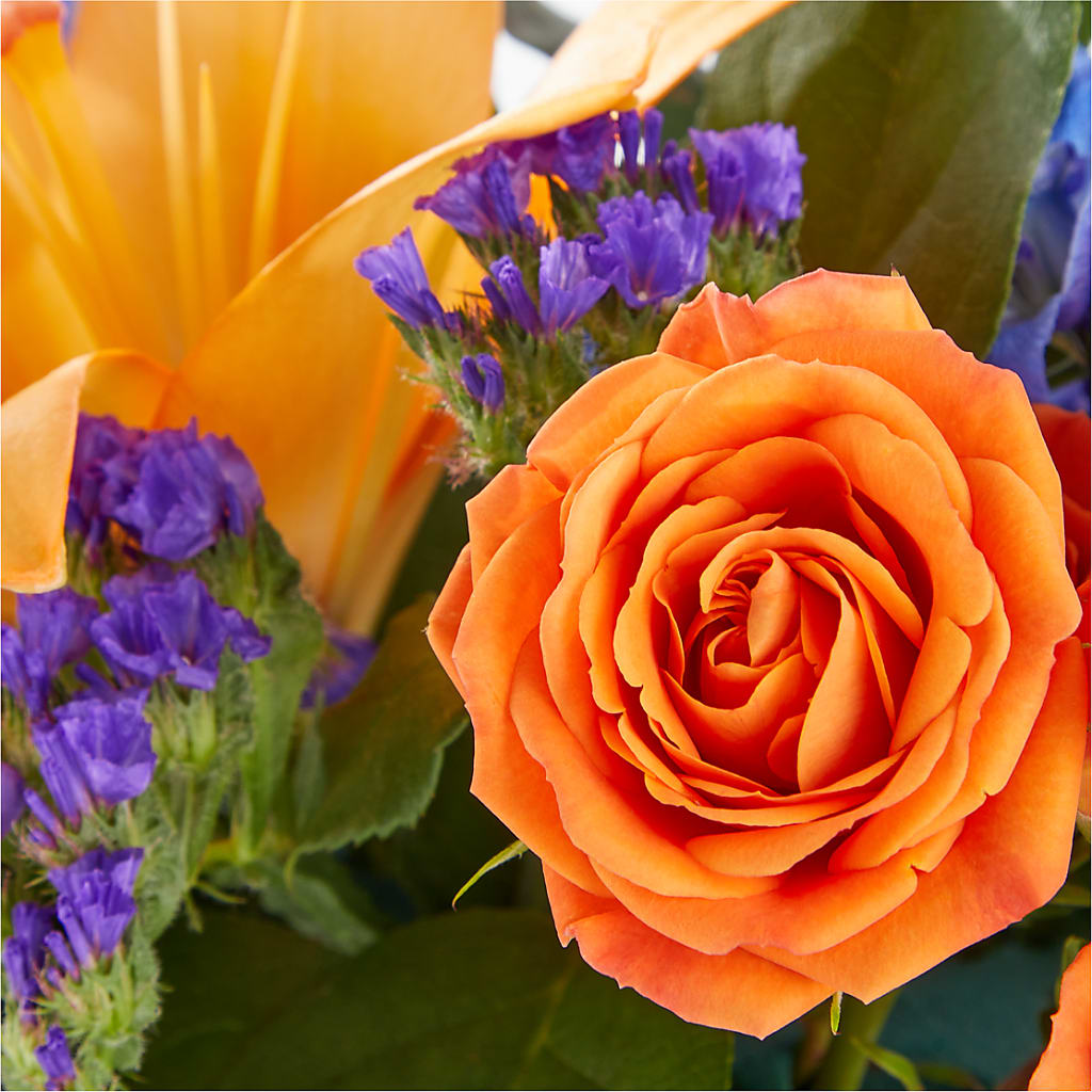 Radiant Citrus Box Bouquet –  Fleuriste Boucherville, Boucherville PQ