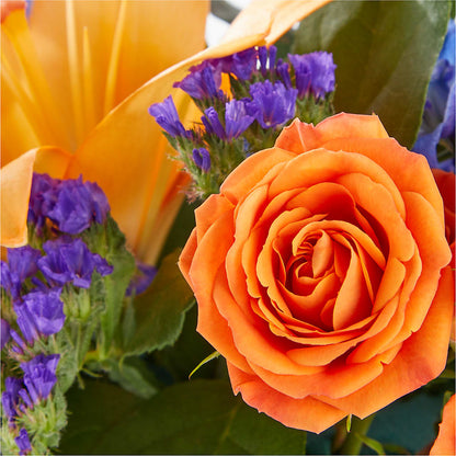 Radiant Citrus Box Bouquet –  Fleuriste Boucherville, Boucherville PQ
