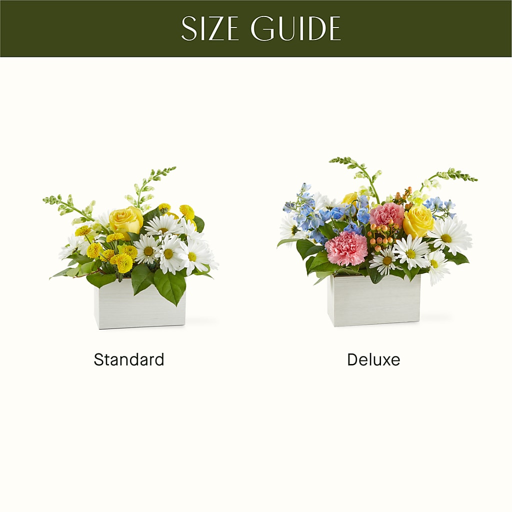 Sun Salutation Box Bouquet –  Fleuriste Boucherville, Boucherville PQ