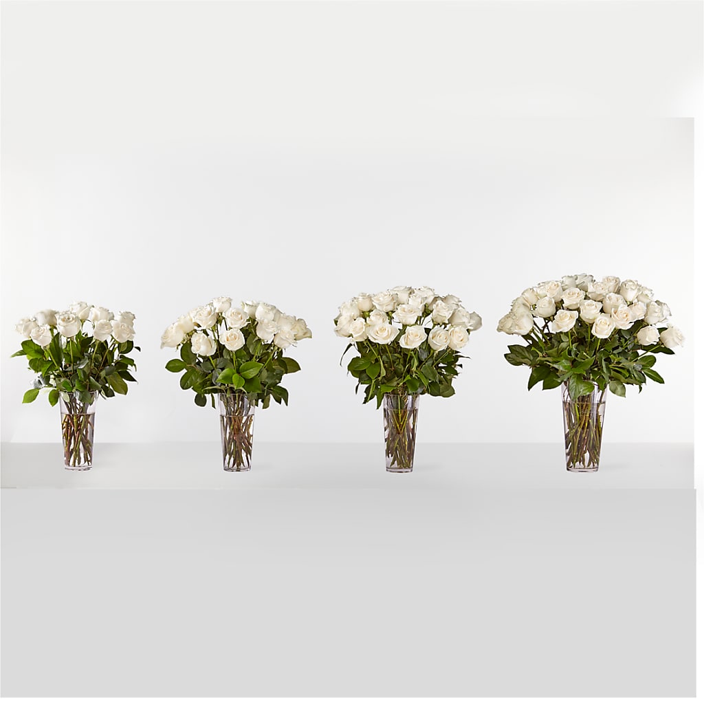 Long Stem White Rose Bouquet –  Fleuriste Boucherville, Boucherville PQ