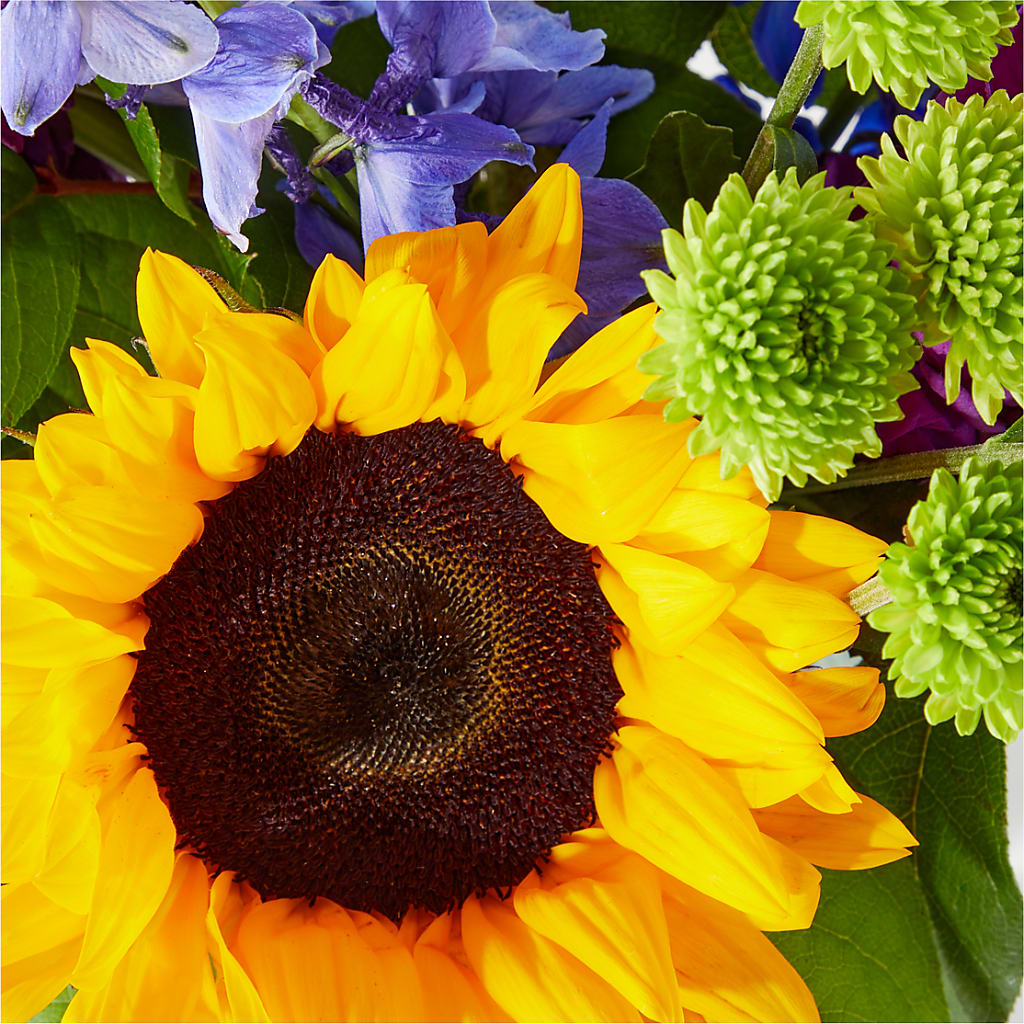 Catching Rays Bouquet –  Fleuriste Boucherville, Boucherville PQ
