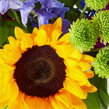 Catching Rays Bouquet –  Fleuriste Boucherville, Boucherville PQ