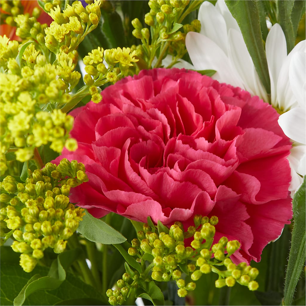 Oopsie Daisy Bouquet –  Fleuriste Boucherville, Boucherville PQ