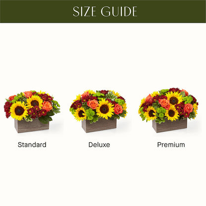 Happy Harvest Garden –  Fleuriste Boucherville, Boucherville PQ