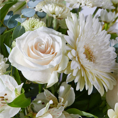 New Beginnings – A Florist Original –  Fleuriste Boucherville, Boucherville PQ