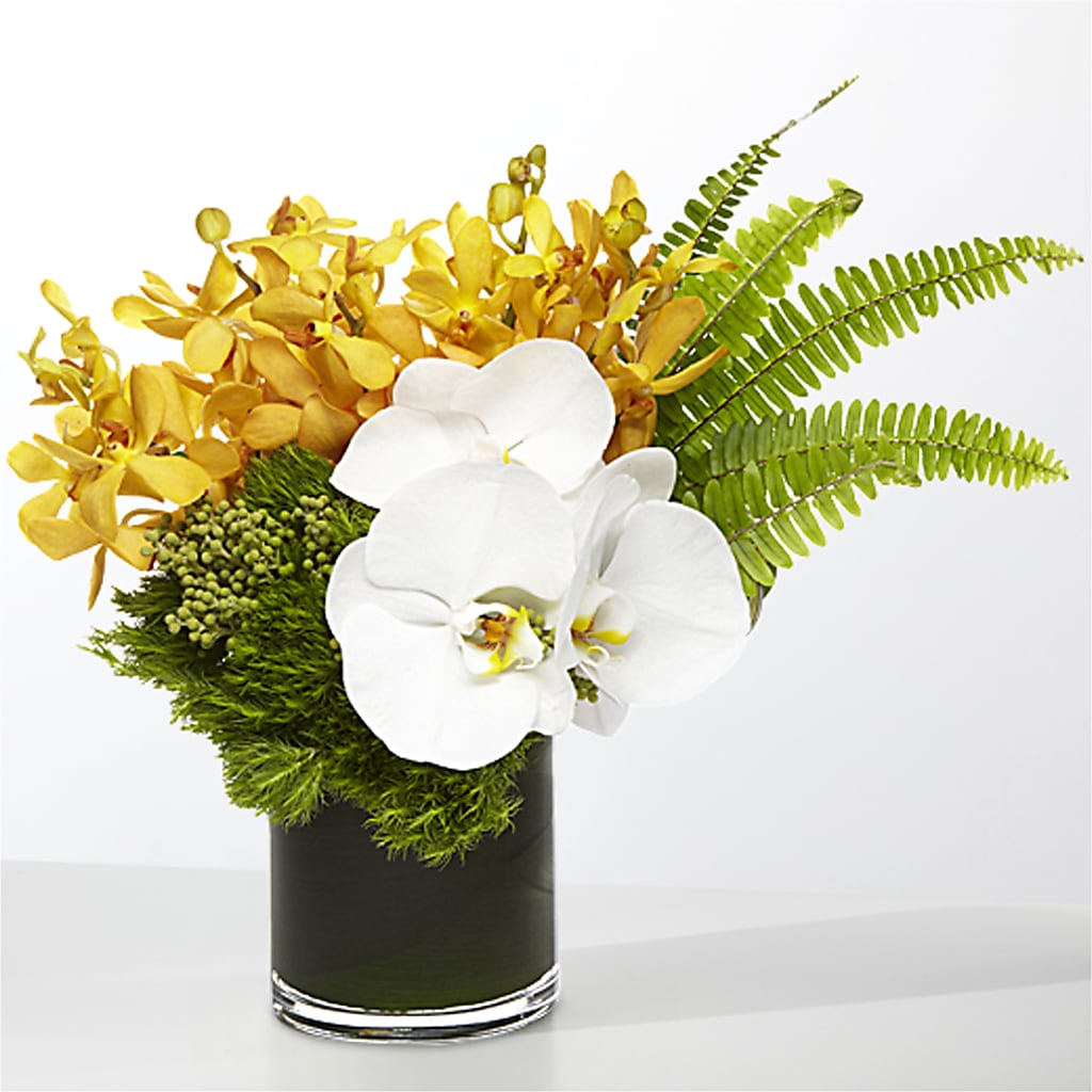 The Tropics –  Fleuriste Boucherville, Boucherville PQ