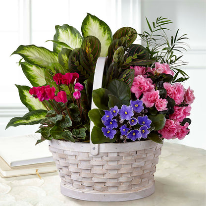 Peaceful Garden Planter –  Fleuriste Boucherville, Boucherville PQ
