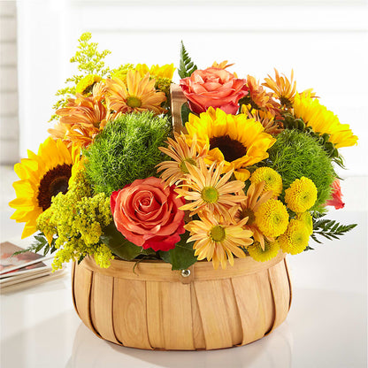 Harvest Sunflower Basket –  Fleuriste Boucherville, Boucherville PQ