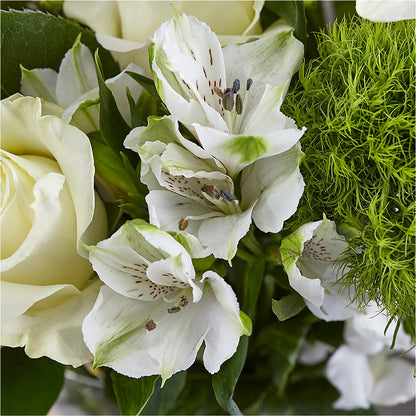 Classic Ivory – A Florist Original –  Fleuriste Boucherville, Boucherville PQ