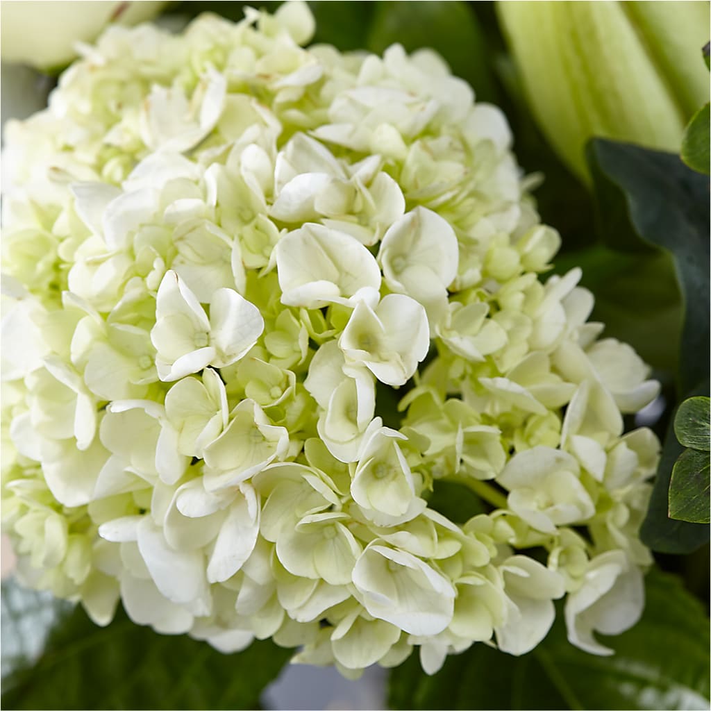 Classic Ivory – A Florist Original –  Fleuriste Boucherville, Boucherville PQ