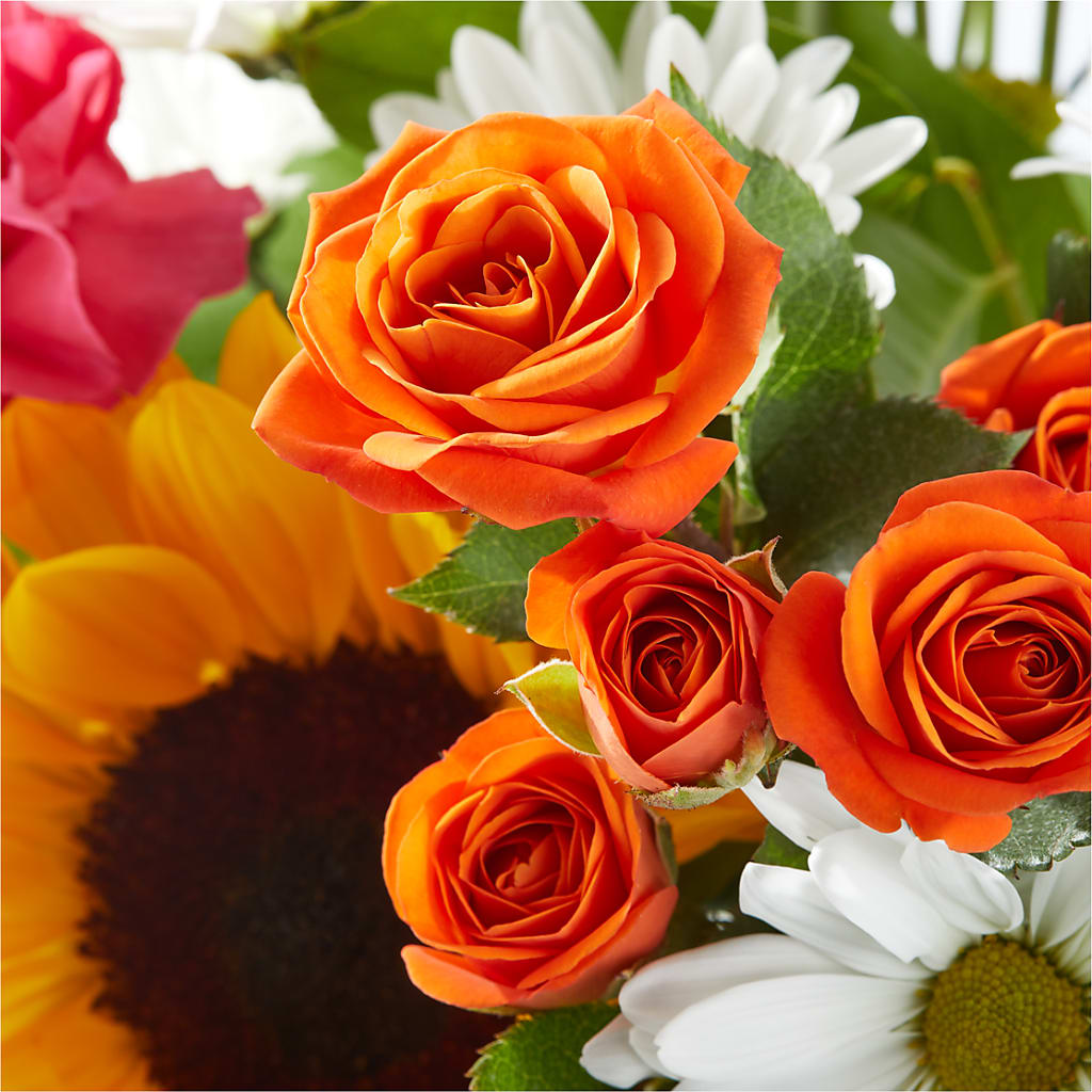 Sun-drenched Blooms Bouquet –  Fleuriste Boucherville, Boucherville PQ