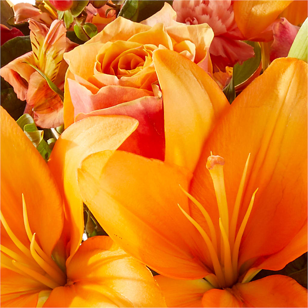 Afternoon Light Bouquet –  Fleuriste Boucherville, Boucherville PQ