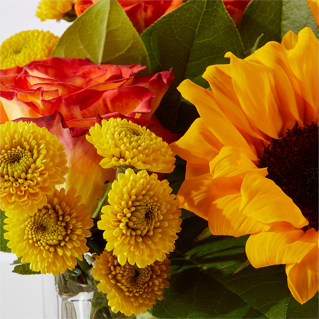 Picnic in the Park Bouquet –  Fleuriste Boucherville, Boucherville PQ