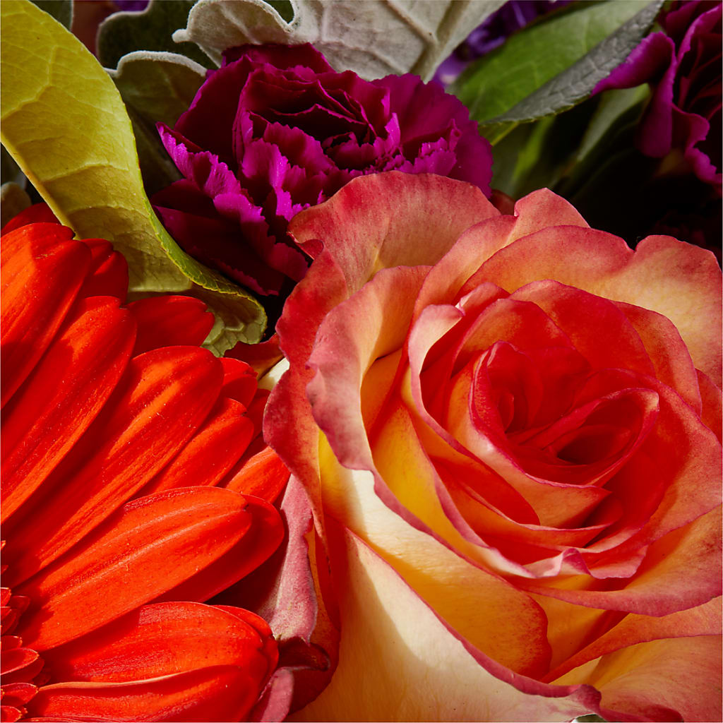 Sangria Bouquet –  Fleuriste Boucherville, Boucherville PQ