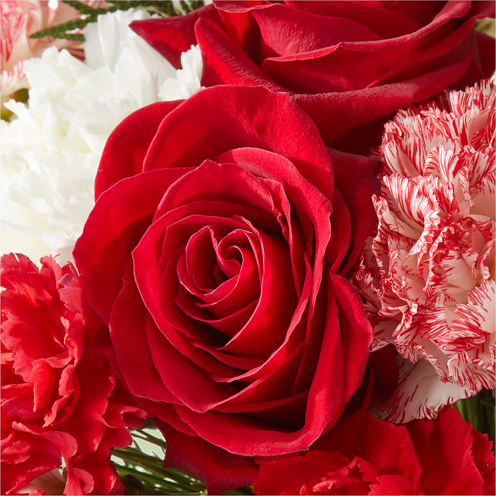Candy Cane Lane Bouquet –  Fleuriste Boucherville, Boucherville PQ