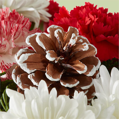 Candy Cane Lane Bouquet –  Fleuriste Boucherville, Boucherville PQ