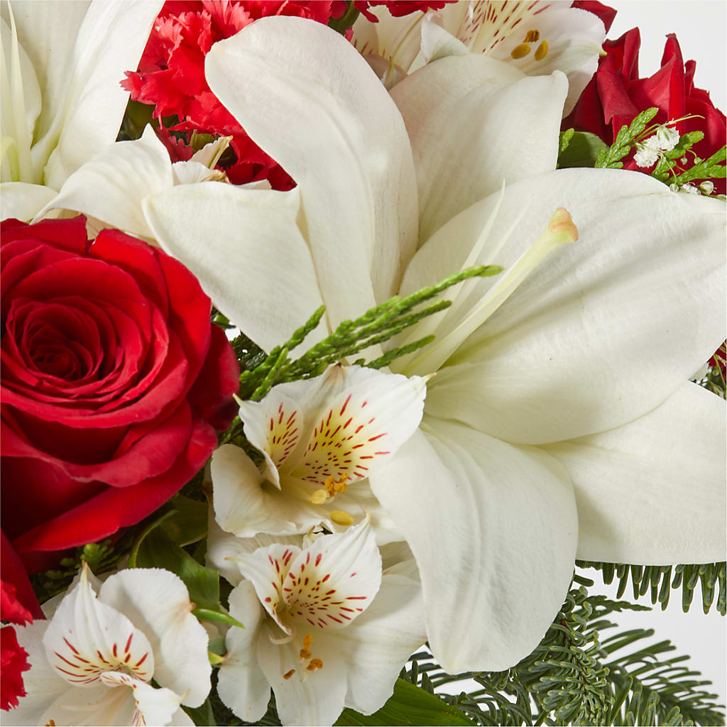 Holiday Season Bouquet –  Fleuriste Boucherville, Boucherville PQ