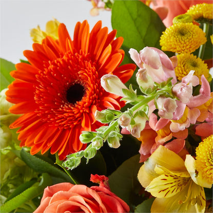 Autumn Sunshine Bouquet –  Fleuriste Boucherville, Boucherville PQ