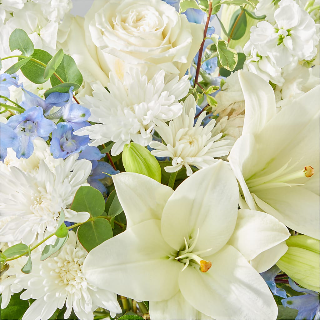 Peace of Mind Bouquet –  Fleuriste Boucherville, Boucherville PQ