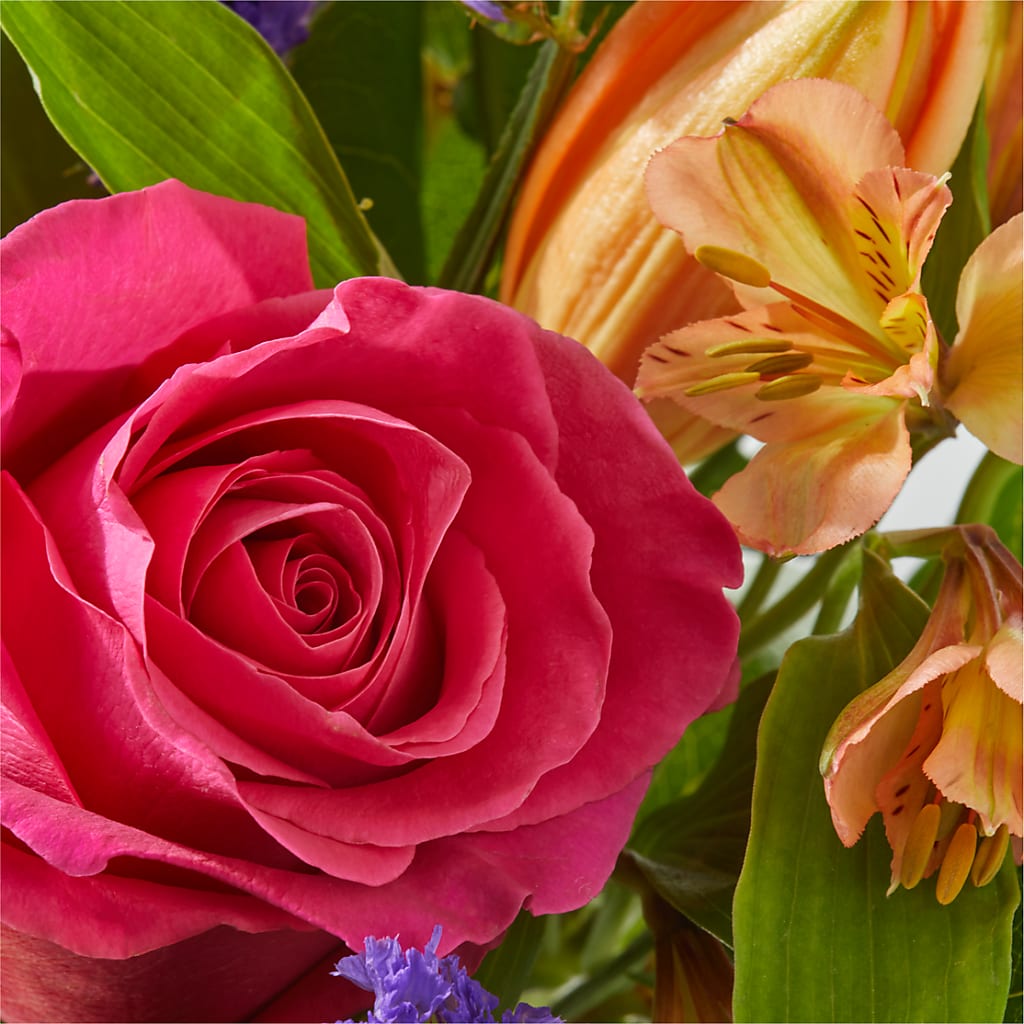 Joyful Bouquet –  Fleuriste Boucherville, Boucherville PQ