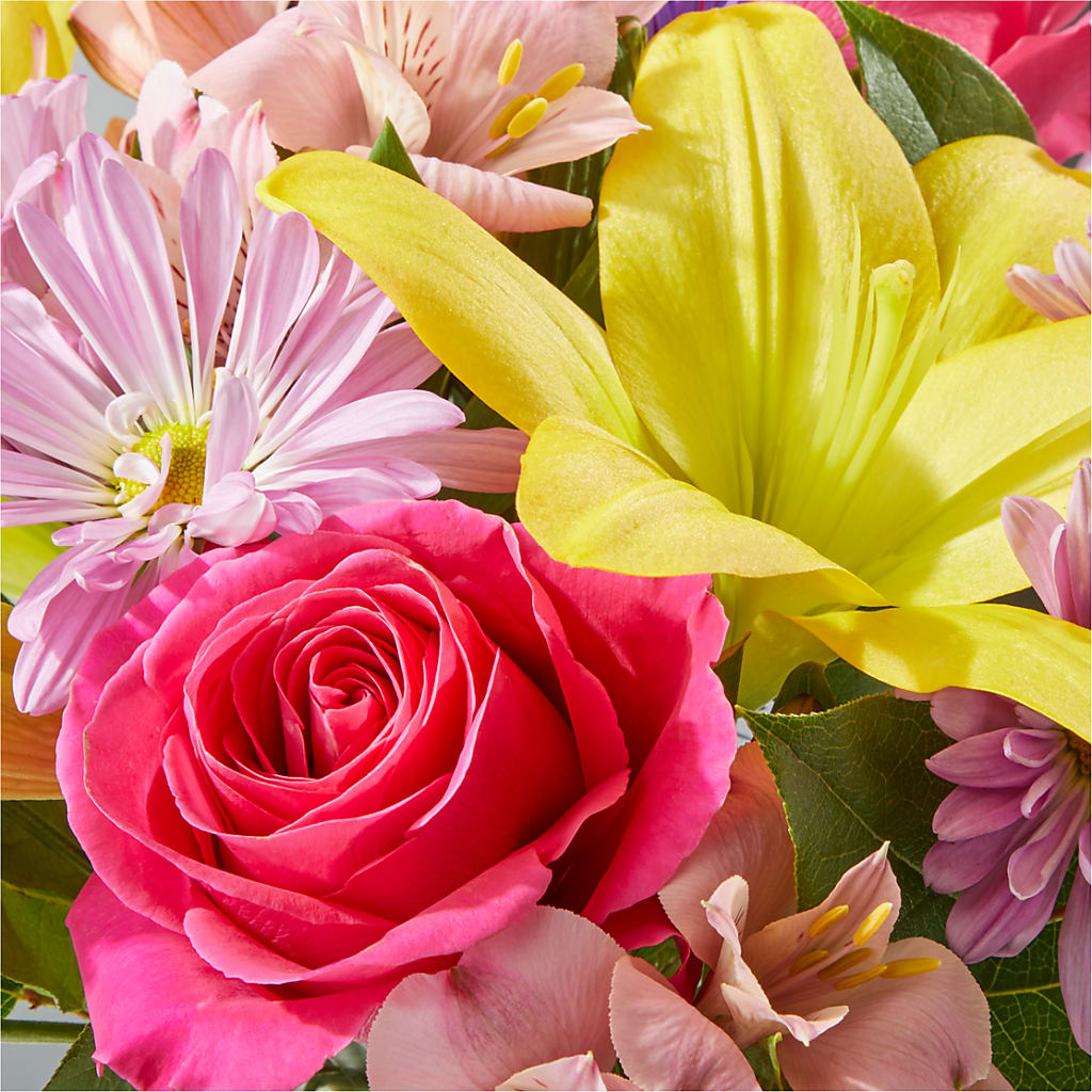 Sprinkles Bouquet –  Fleuriste Boucherville, Boucherville PQ