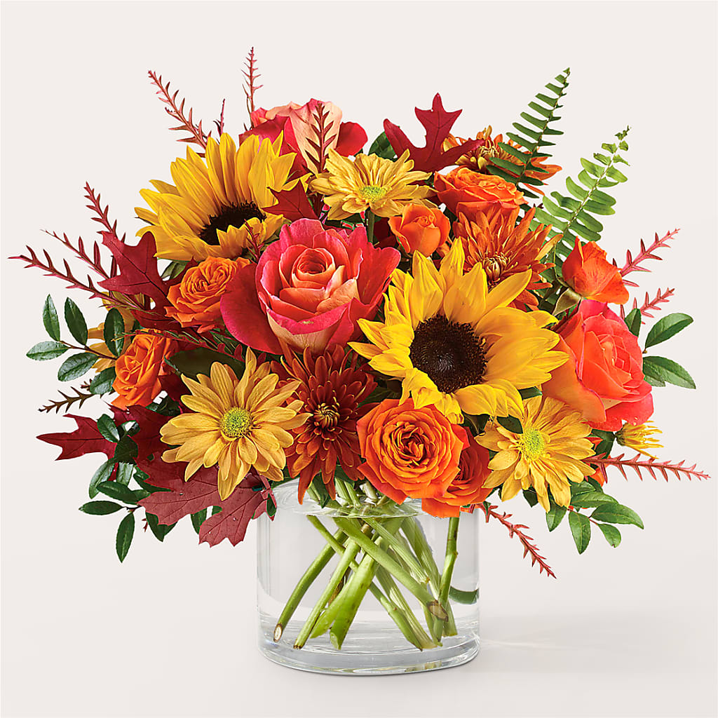Bouquet de feu de camp d'automne