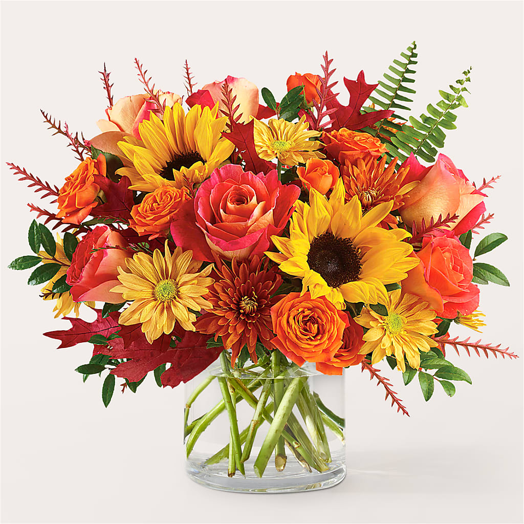 Bouquet de feu de camp d'automne
