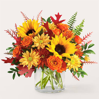 Bouquet de feu de camp d'automne