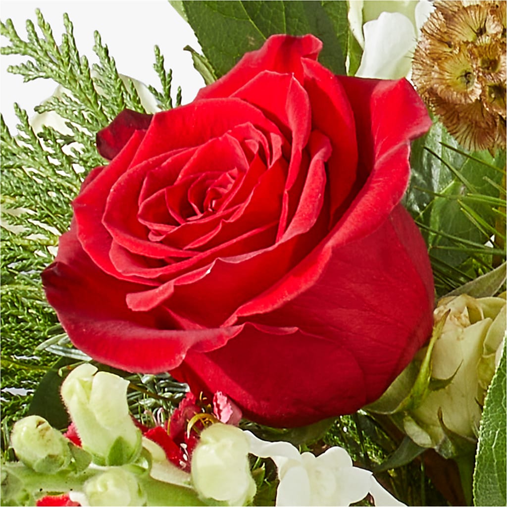 Deck the Halls Bouquet –  Fleuriste Boucherville, Boucherville PQ